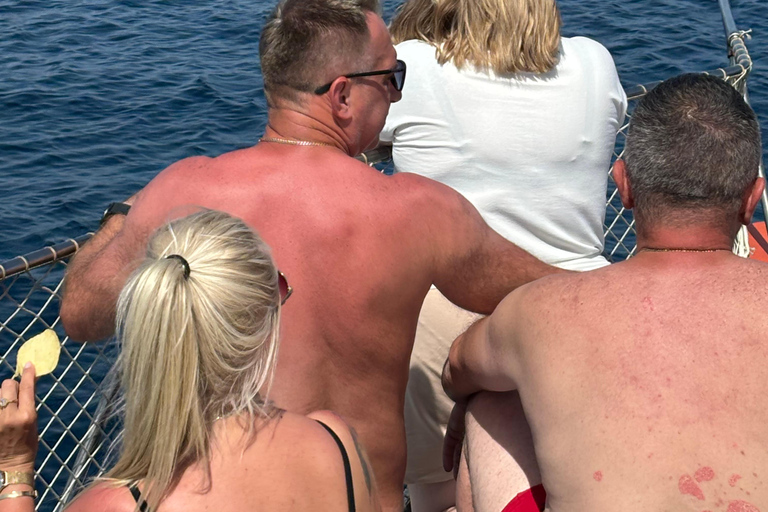 Estepona: Dolphins Searching Sea Cruise with Drink & Snacks Group Cruise