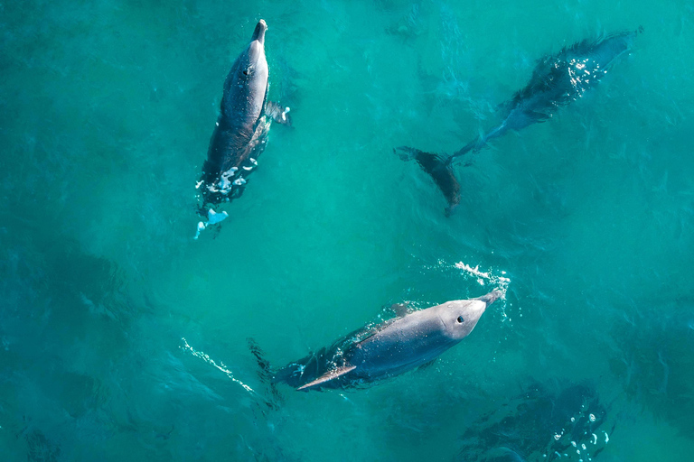 Brisbane: Private Helicopter to Luxurious Gold Coast Lunch