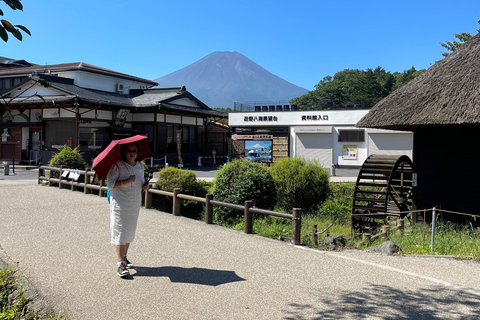 4-Daagse privétour Mt Fuji, Hakone, Nikko en Tokio.