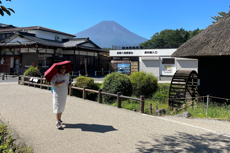 4-Daagse privétour Mt Fuji, Hakone, Nikko en Tokio.