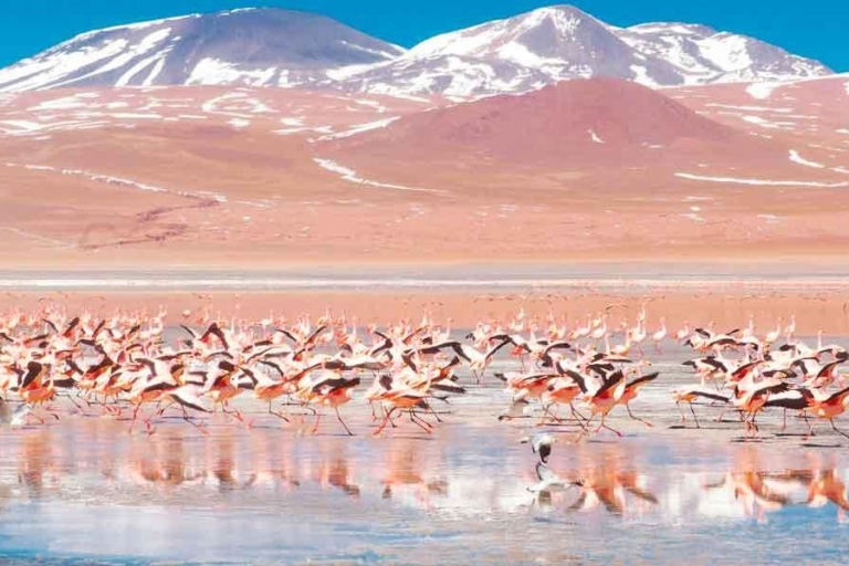 Z San Pedro de Atacama: Uyuni Salt Flat 3 dniUyuni: Słone Jezioro Uyuni z San Pedro de Atacama - 3 dni