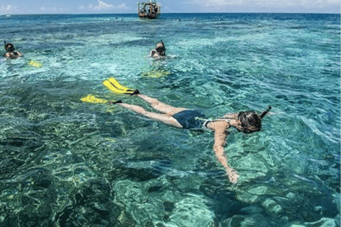 Zanzibar: Swim with Starfish and Snorkeling At Blue Lagoon