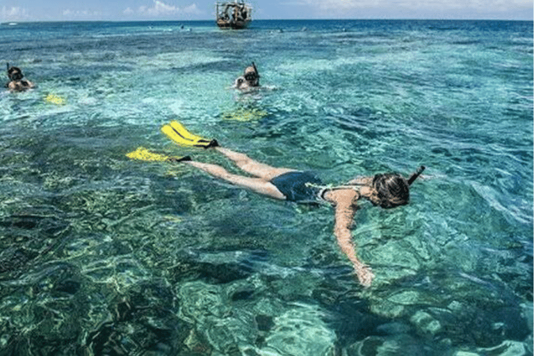 Zanzibar: Swim with Starfish and Snorkeling At Blue Lagoon