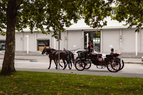 Salamanca Jaunt Carriage Tour