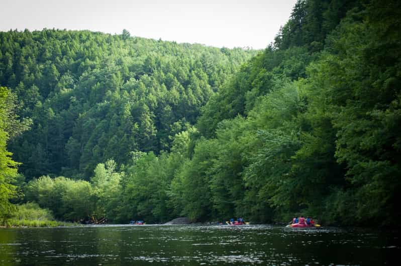 From NYC Whitewater Rafting in the Poconos with Lunch GetYourGuide
