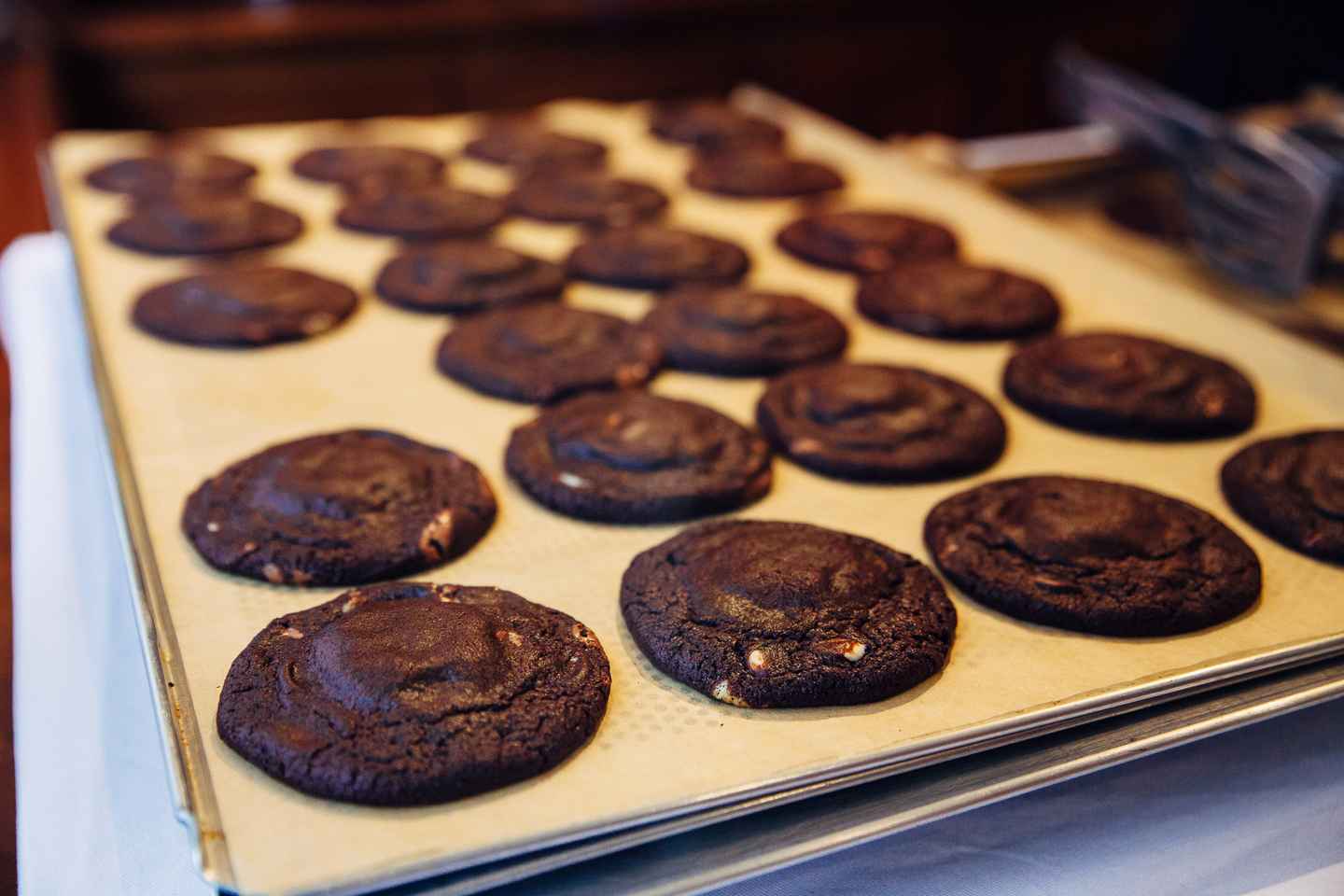 현지인과 함께하는 프라이빗 암스테르담 자전거 투어