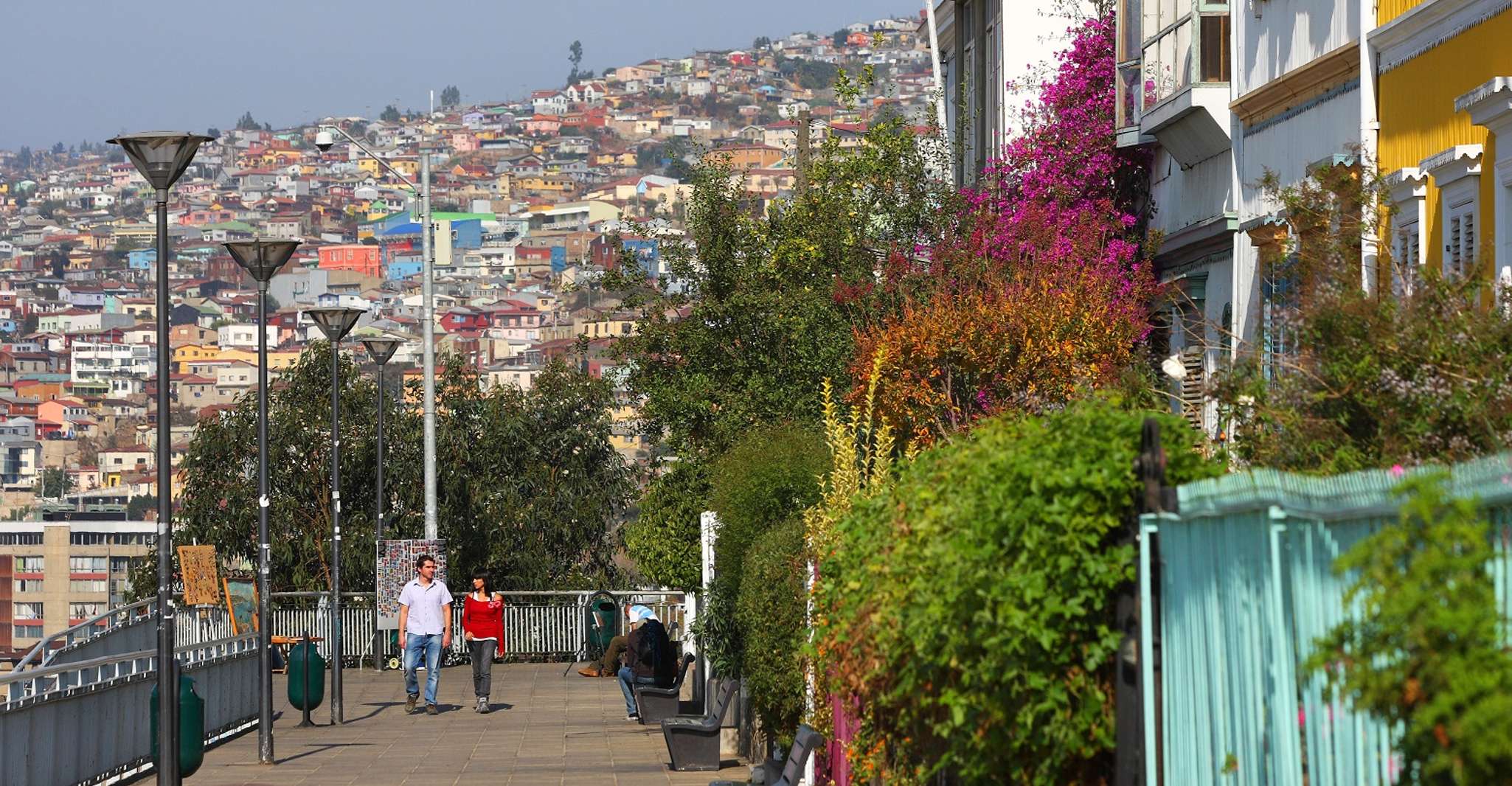 Valparaiso 3-Hour Walking Tour - Housity