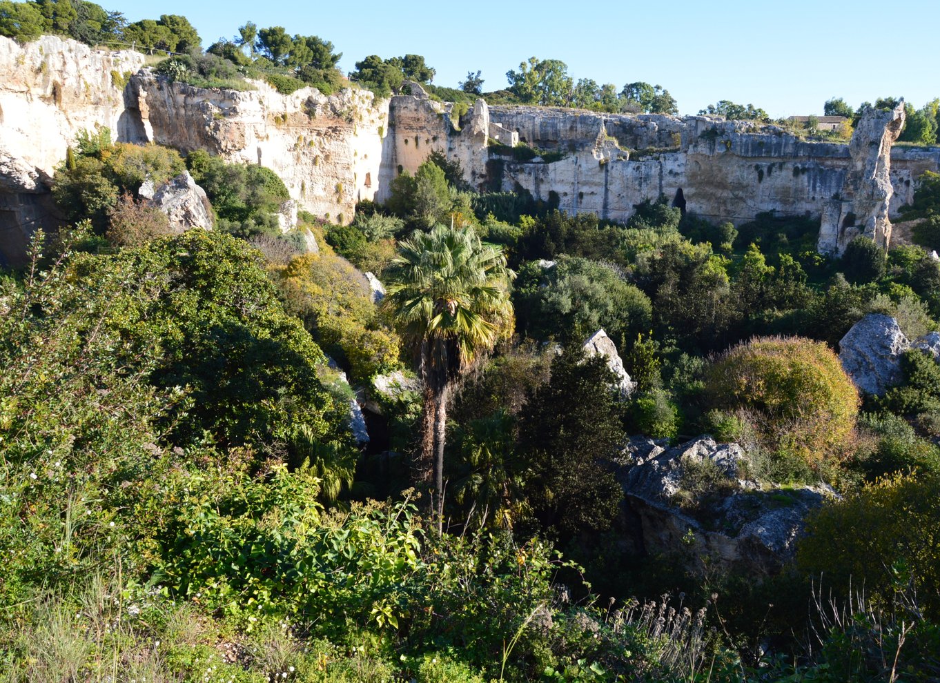 Siracusa: Ortigia og Neapolis guidet tur