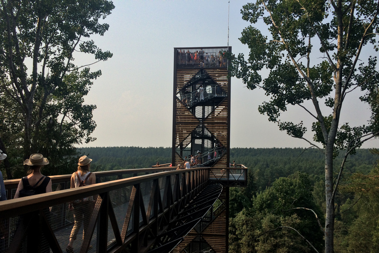 Från Vilnius: Anykščiai och korsens kulle dagstur från Vilnius