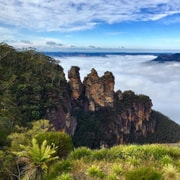 Sydney: Blue Mountains Private Wildlife Adventure Tour