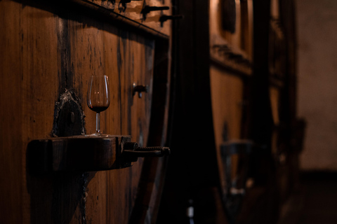 Douro Valley: Quinta Santa Júlia Tour, Wine Tasting & Lunch