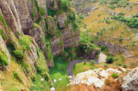 From London, Glastonbury and Cheddar Gorge Guided Day Trip - Housity