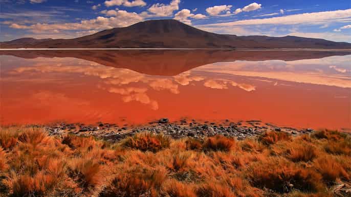 3day salt flats and colored lagoons tour from uyuni
