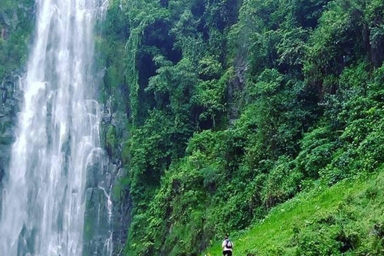 Materuni Waterfall & Coffee Tour