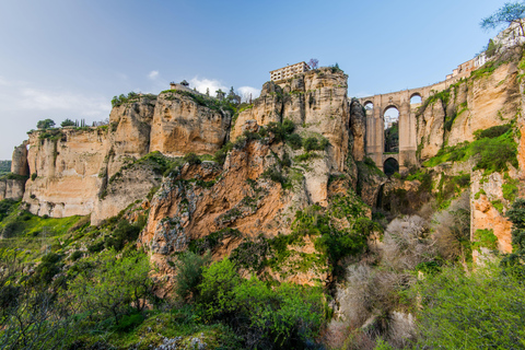 From Cádiz: Ronda Premium Private Day Tour with Wine Tasting GROUP OF UP TO 6 PEOPLE