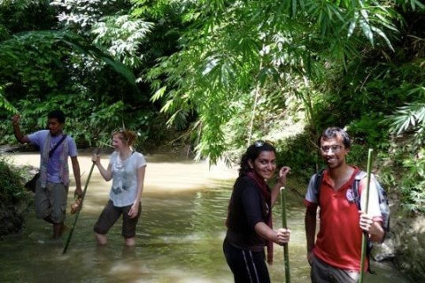 De Srimangal: Trekking d'aventure jusqu'à la cascade Hum HumDe Srimangal: trekking d'aventure jusqu'à la cascade Hum Hum