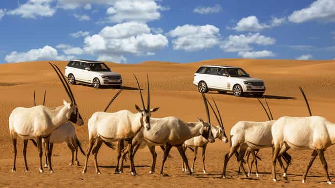 7hour platinum desert safari from dubai