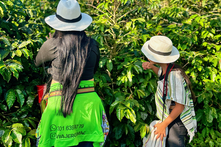 Medellín: Kaffeefarm-Tour – Probiere die Geschichten der SierraSpanisch
