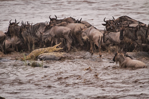 Avventura di 3 giorni con safari nel Serengeti e nello Ngorongoro