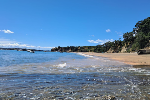 Auckland: Ticket für die Fähre zur Motuihe Island
