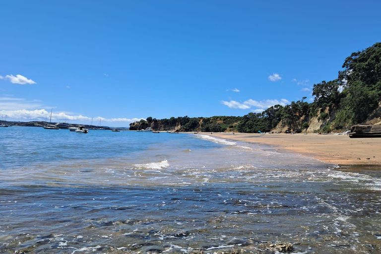 Auckland: Ticket für die Fähre zur Motuihe Island