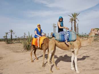 Marrakesch: Kamelritt durch Palmenhaine mit Teepause Marrakesch: Kamelritt durch Palmenhaine mit Teepause