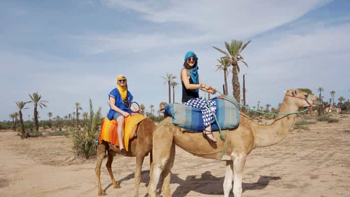 marrakech camel ride in palm groves with tea break