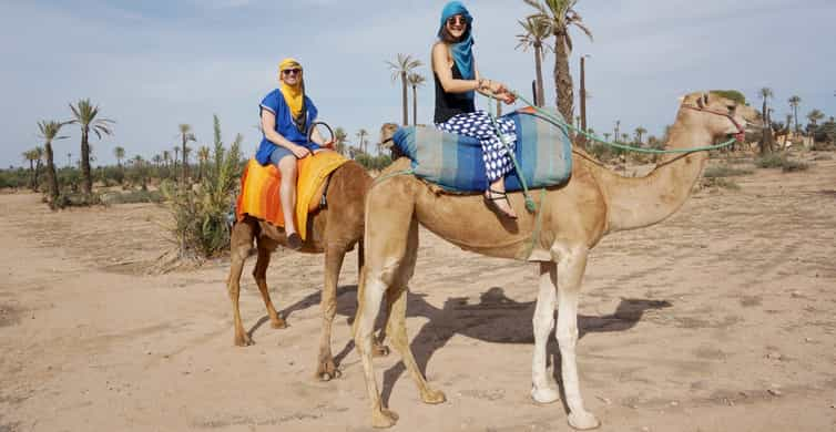 Marrakech 2022: Top 10 Tours & Activities (with Photos) - Things to Do ...