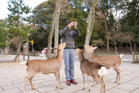 Excursión Privada de un Día a lo Más Destacado de Nara y Osaka