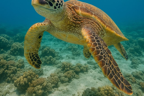 Hiriketiya: Coastal Boat Ride & Guided Snorkeling Tour