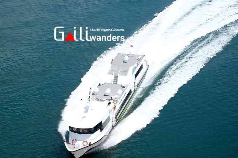 Bali: From/to Gili Islands and Nusa Penida Fast Boat Ticket 1-Way ticket Nusa Penida to Gili Lombok