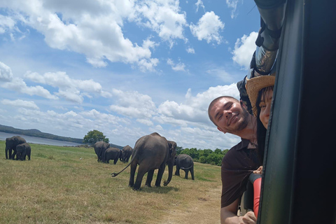 Desde Dambulla: Fortaleza de la Roca de Sigiriya y Safari en Minneriya