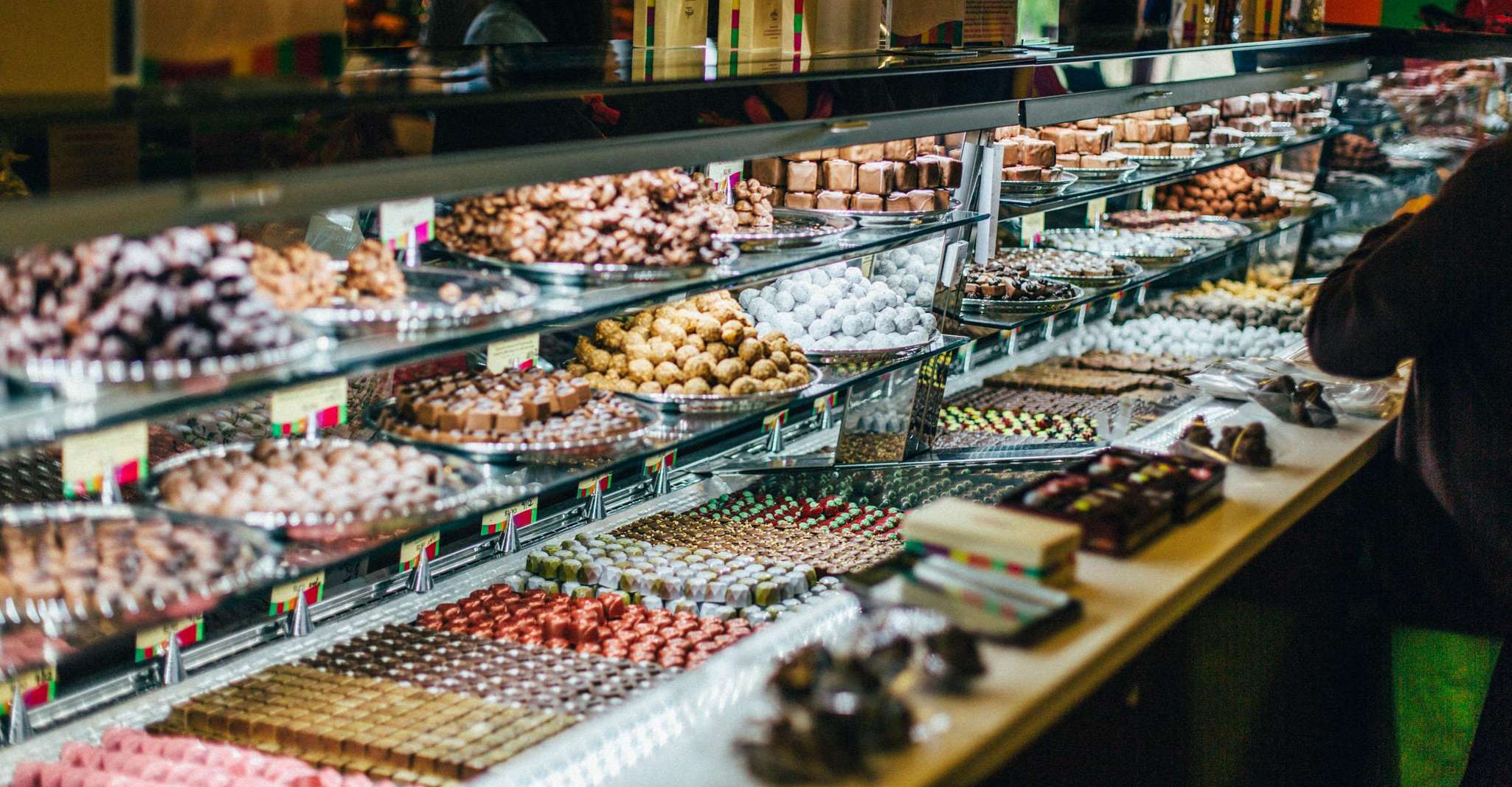 Melbourne: Yarra Valley Wine Bubbles & Kangaroos Tour photo 16