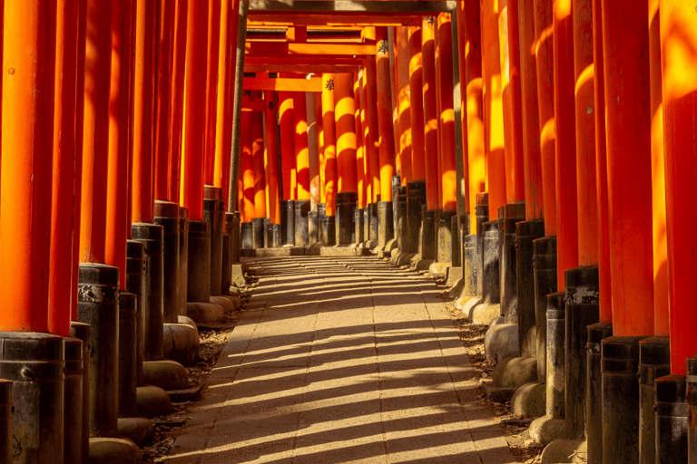 Osaka City Private Sightseeing Tour With Hotel Pick N Drop