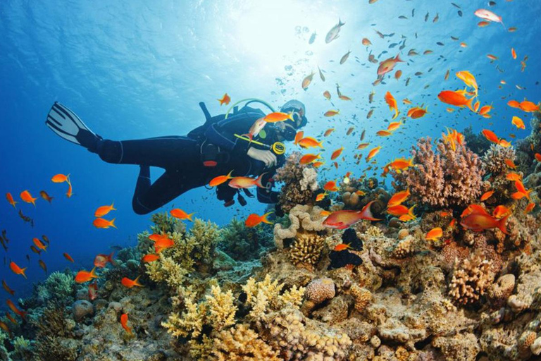 Sansibar: Schnorcheln und Segeln am Kiwengwa-Riff