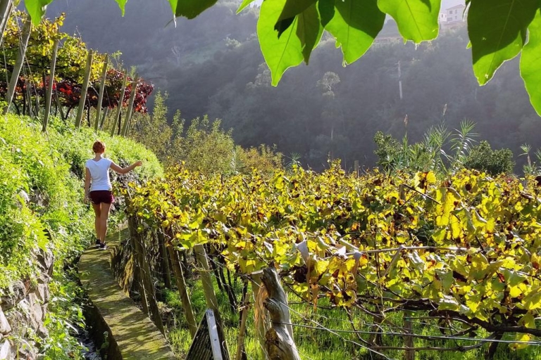 De Funchal: visite d'une journée des vins de Madère avec déjeuner