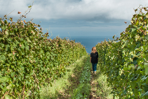 From Funchal: Full-Day Madeira Wine Tour with Lunch