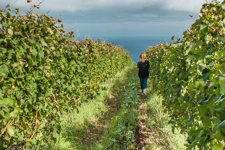 Desde Funchal: tour del vino de Madeira de día completo con almuerzo