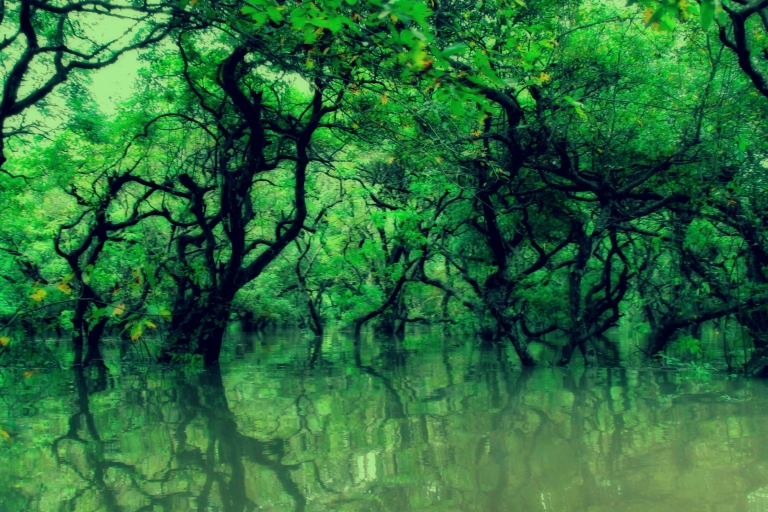 Srihotto: Ratargul Swamp Forest and Bisnakhandi Day Tour