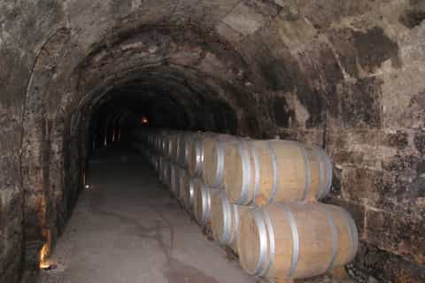 From Madrid: Ribera del Duero Tour of 3 Different Wineries