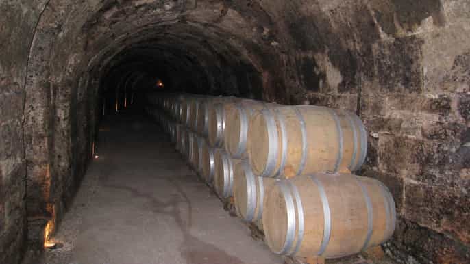 from madrid ribera del duero tour of 3 different wineries