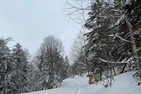 Shikotsu-Toya National Park: Guided Snowshoe Hike and Onsen Shikotsu-Toya National Park: Guided Snowshoe Hike and Onsen.