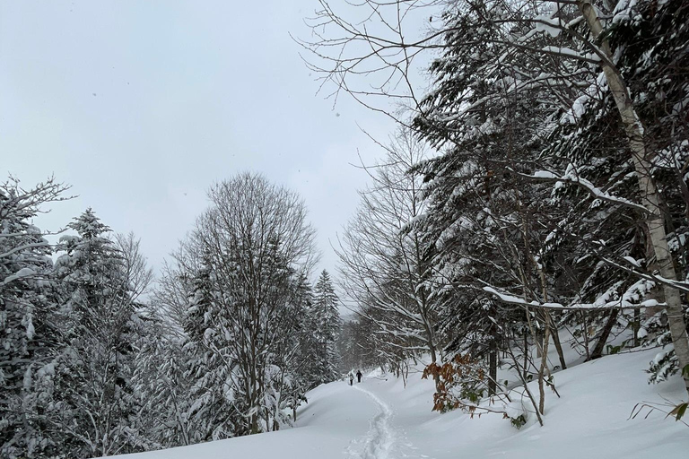 Shikotsu-Toya National Park: Guided Snowshoe Hike and Onsen Shikotsu-Toya National Park: Guided Snowshoe Hike and Onsen.