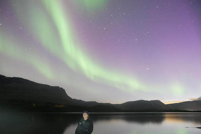 Harstad/Narvik/Tjeldsund: giro turistico dell&#039;aurora boreale in auto