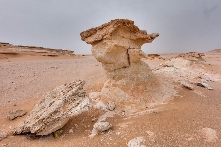 Doha: West Qatar Richard Serra Sculpture, Mushroom Rock Tour