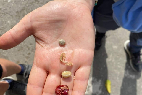 Visit an artisanal cocoa and coffee factory in Santa Marta