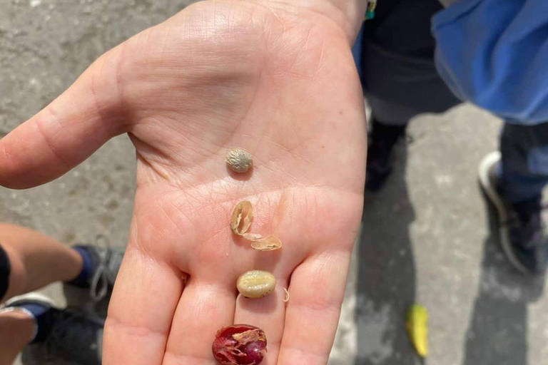 Visit an artisanal cocoa and coffee factory in Santa Marta