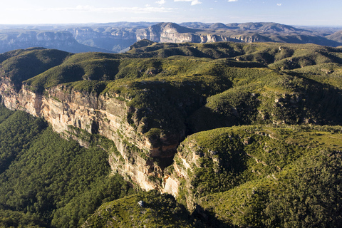 Blue Mountains: Wildlife Park & Bushwalks Day Tour Departure from St Laurence Church at 7:15 AM