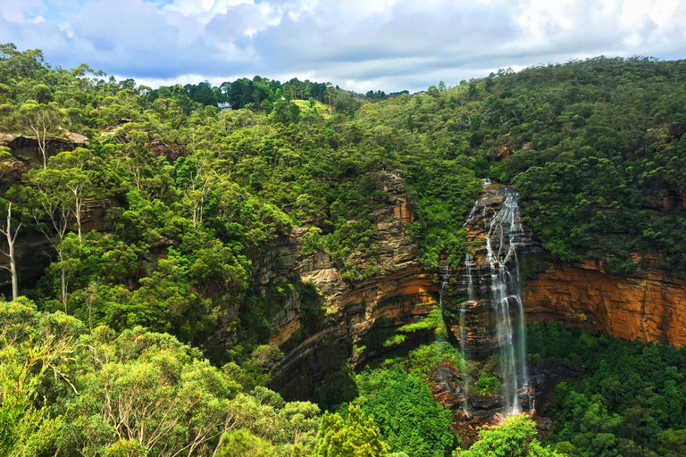 Blue Mountains: Parque de vida selvagem e excursão de um dia pela mataPartida da Igreja St Laurence às 7h15