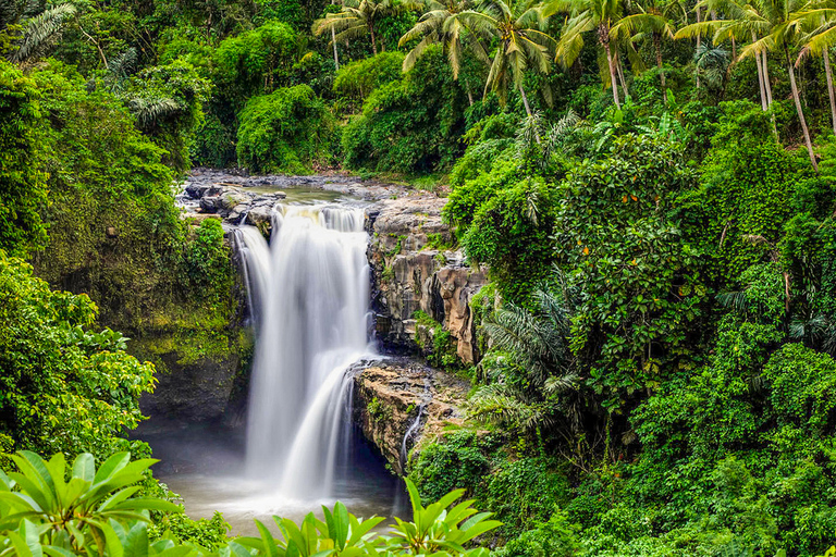 Ubud: tour de las epectaculares cascadasTour de cascadas con arrozal y columpio en la selva